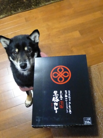 まい泉9