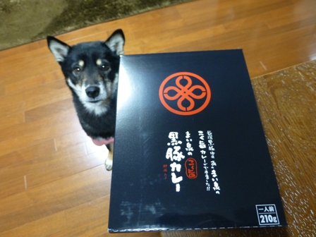 まい泉10