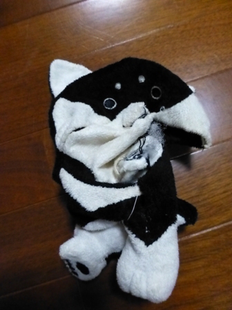 柴っこ11