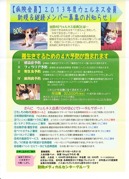 ウェルネス会員継続1