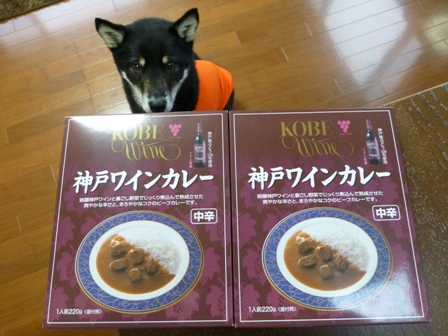 神戸ワインカレー1
