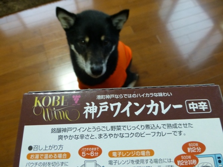 神戸ワインカレー3