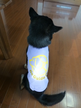 盲導犬サポートSHOP15