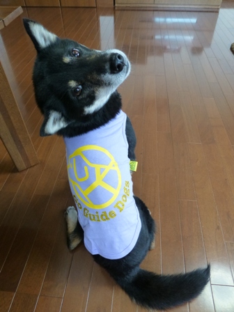 盲導犬サポートSHOP16