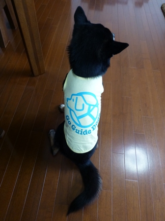 盲導犬サポートSHOP18
