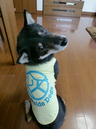 盲導犬サポートSHOP19