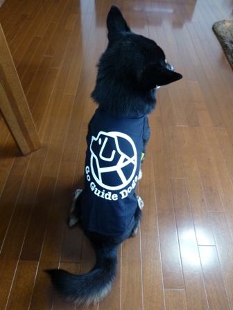 盲導犬サポートSHOP25