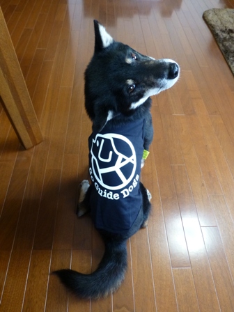 盲導犬サポートSHOP26