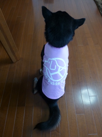盲導犬サポートSHOP28