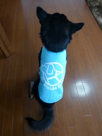 盲導犬サポートSHOP31