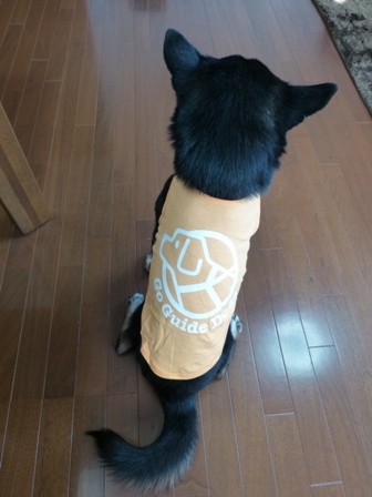 盲導犬サポートSHOP34