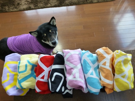 盲導犬サポートSHOP39