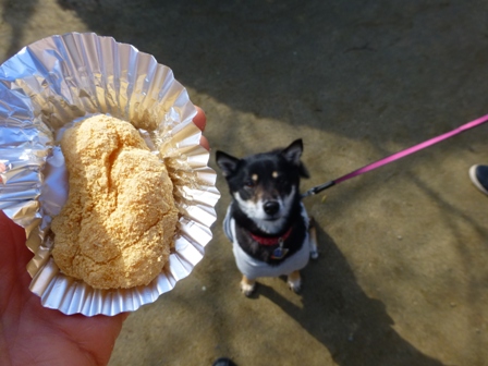 福餅つき大会14