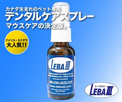 リーバⅢ1