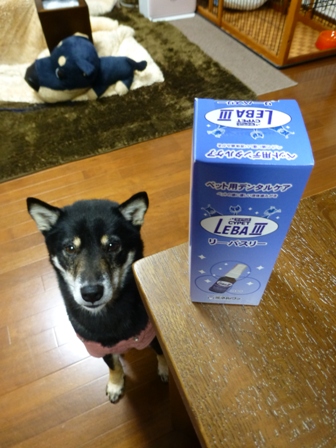 リーバⅢ2