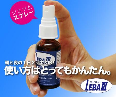 リーバⅢ3