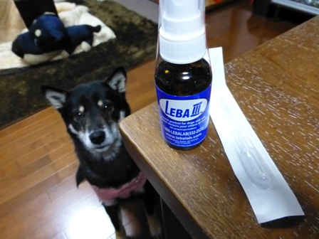 リーバⅢ4