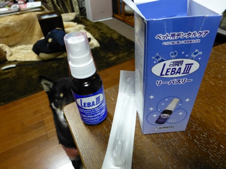 リーバⅢ5