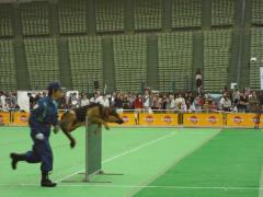 スードク12