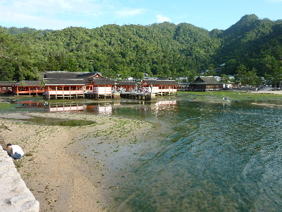 P1010781.jpg