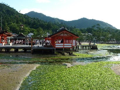 P1010785.jpg