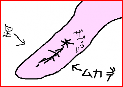 りこりょこ涼子漫画04