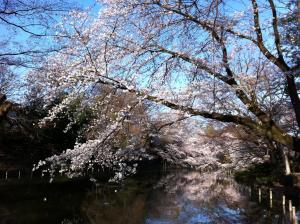 IMG_0401_convert_20120407194316.jpg