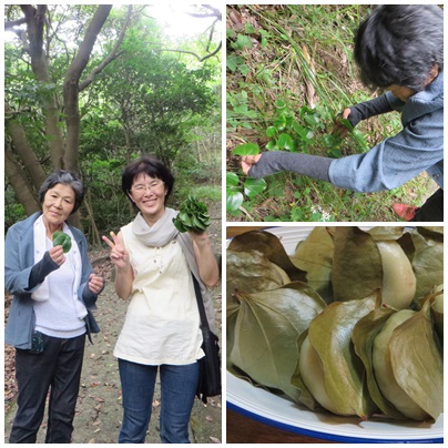祝・出雲大社ご遷宮とご成婚の旅②
