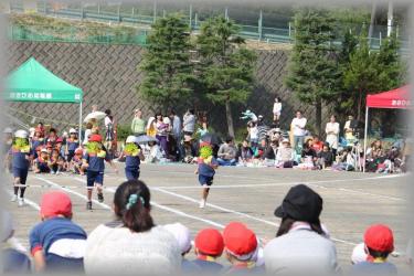 モモの運動会