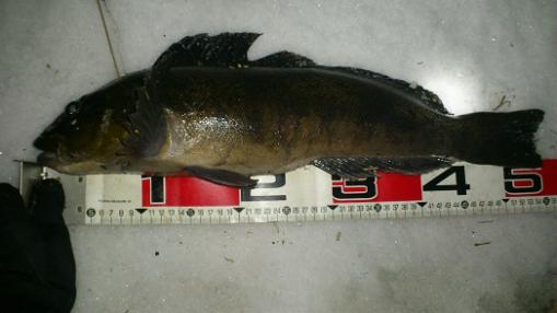 DSC_9998.jpg