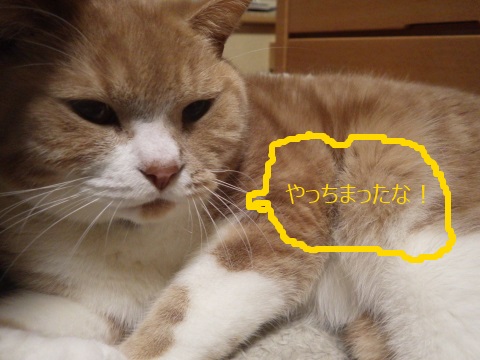 20130511moka.jpg