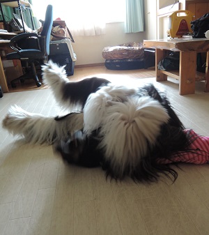 DSCN0487.jpg