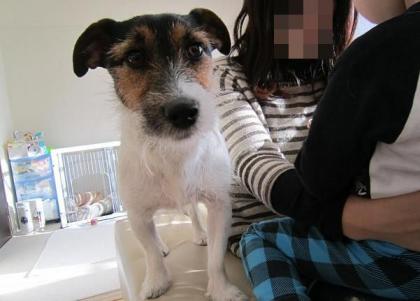 20130131000.jpg