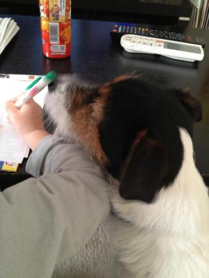 20130131002.jpg