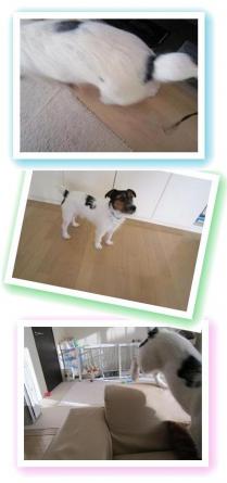 20130131006.jpg