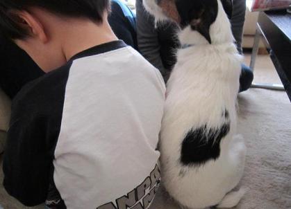 20130131008.jpg