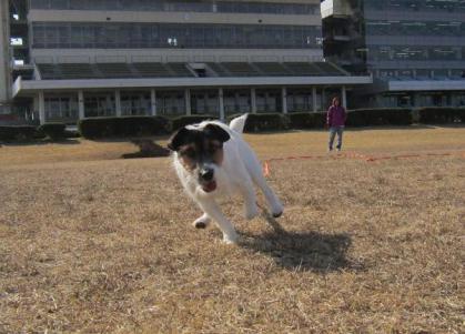 20130203004.jpg