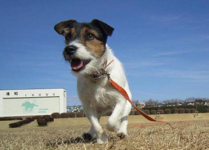 20130203005.jpg