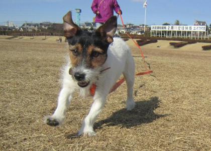 20130203006.jpg