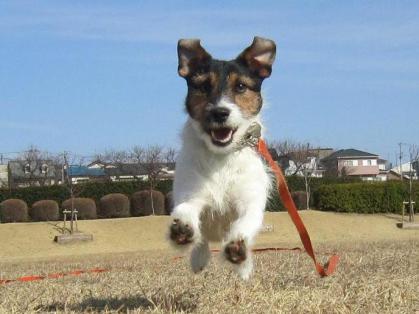 20130203009.jpg