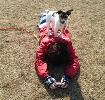 20130203010.jpg