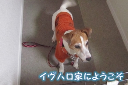 20140920004.jpg