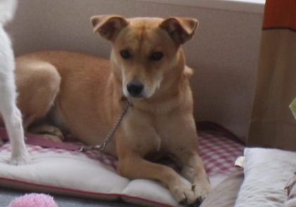20140920006.jpg