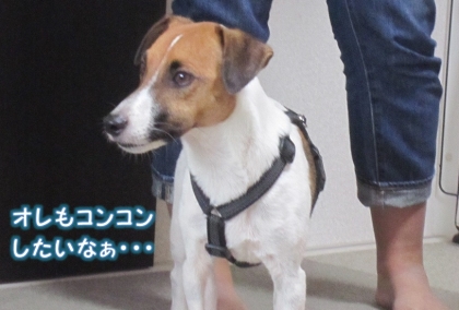 20140920011.jpg