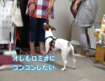 20140920013.jpg