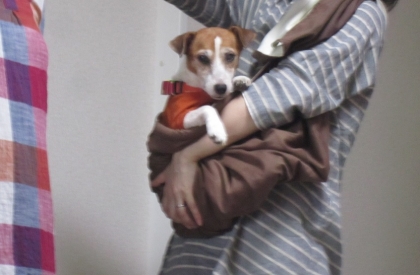 20140920016.jpg