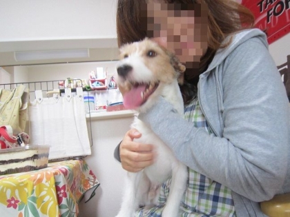 20140920017.jpg