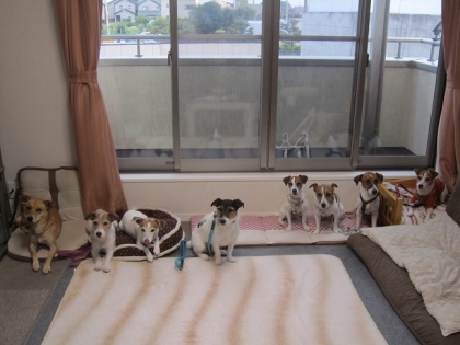 20140920023.jpg