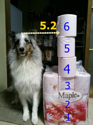 マックス 5.2