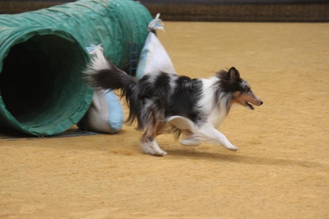 IMG_1518_convert_20131126085855.jpg